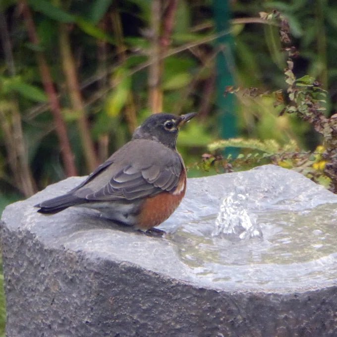 Klamath® Basin Stone Outdoor Fountain - LA2100K - Blue Thumb