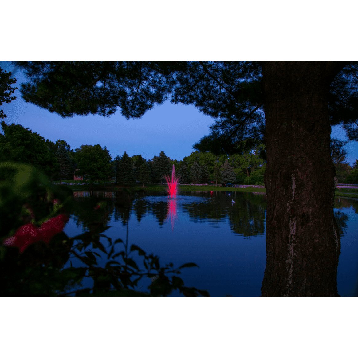 14-Color LED Lights - Scott Aerator - American Pond Supplies -Scott Aerator's 14-Color LED Changing Light Sets For Pond Fountains