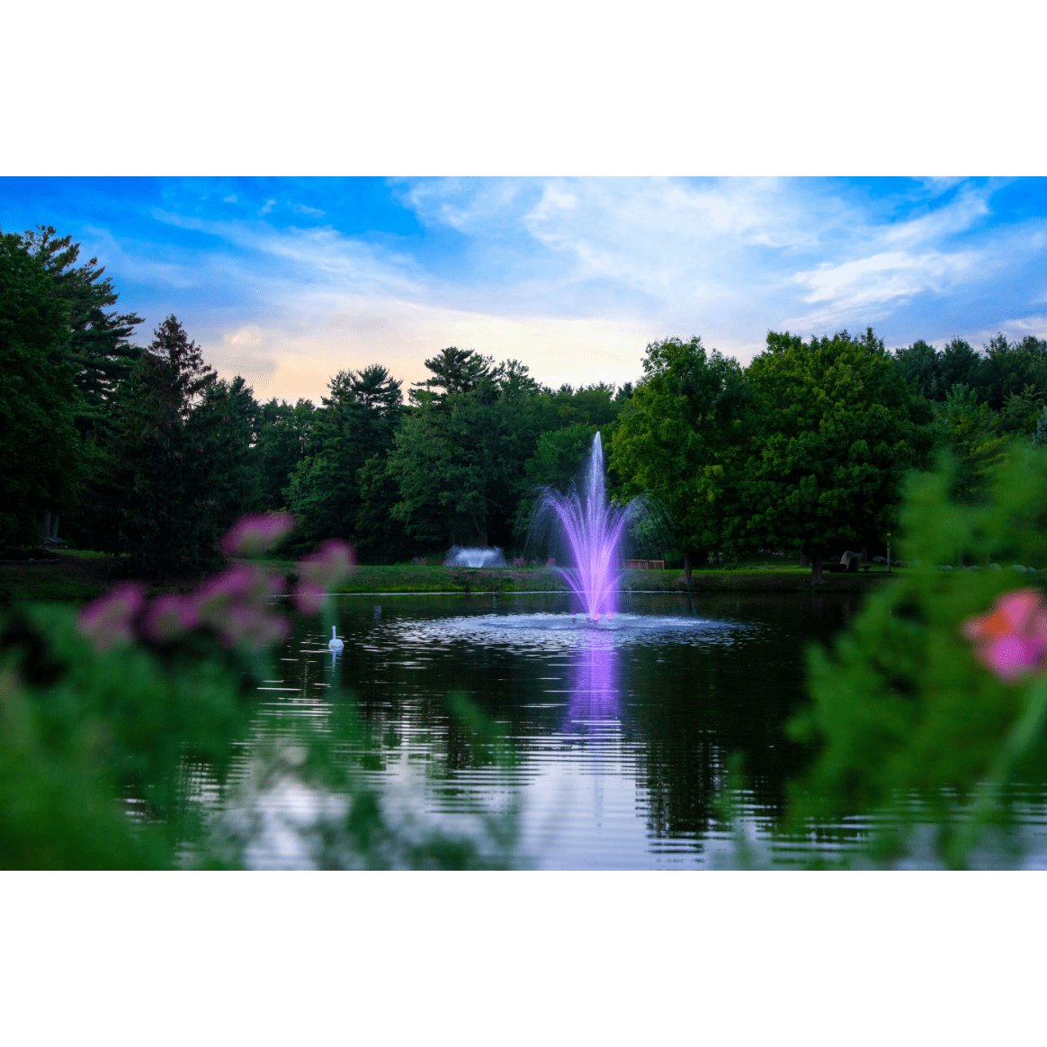 14-Color LED Lights - Scott Aerator - American Pond Supplies -Scott Aerator's 14-Color LED Changing Light Sets For Pond Fountains