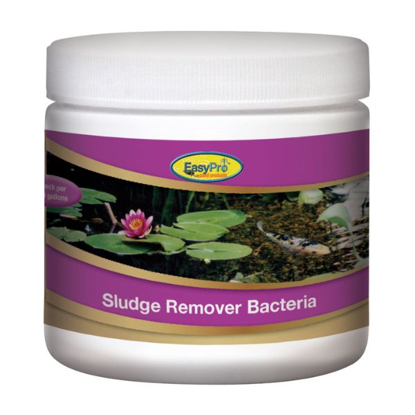 EasyPro Sludge Remover Bacteria – 12ct. 1oz Blocks