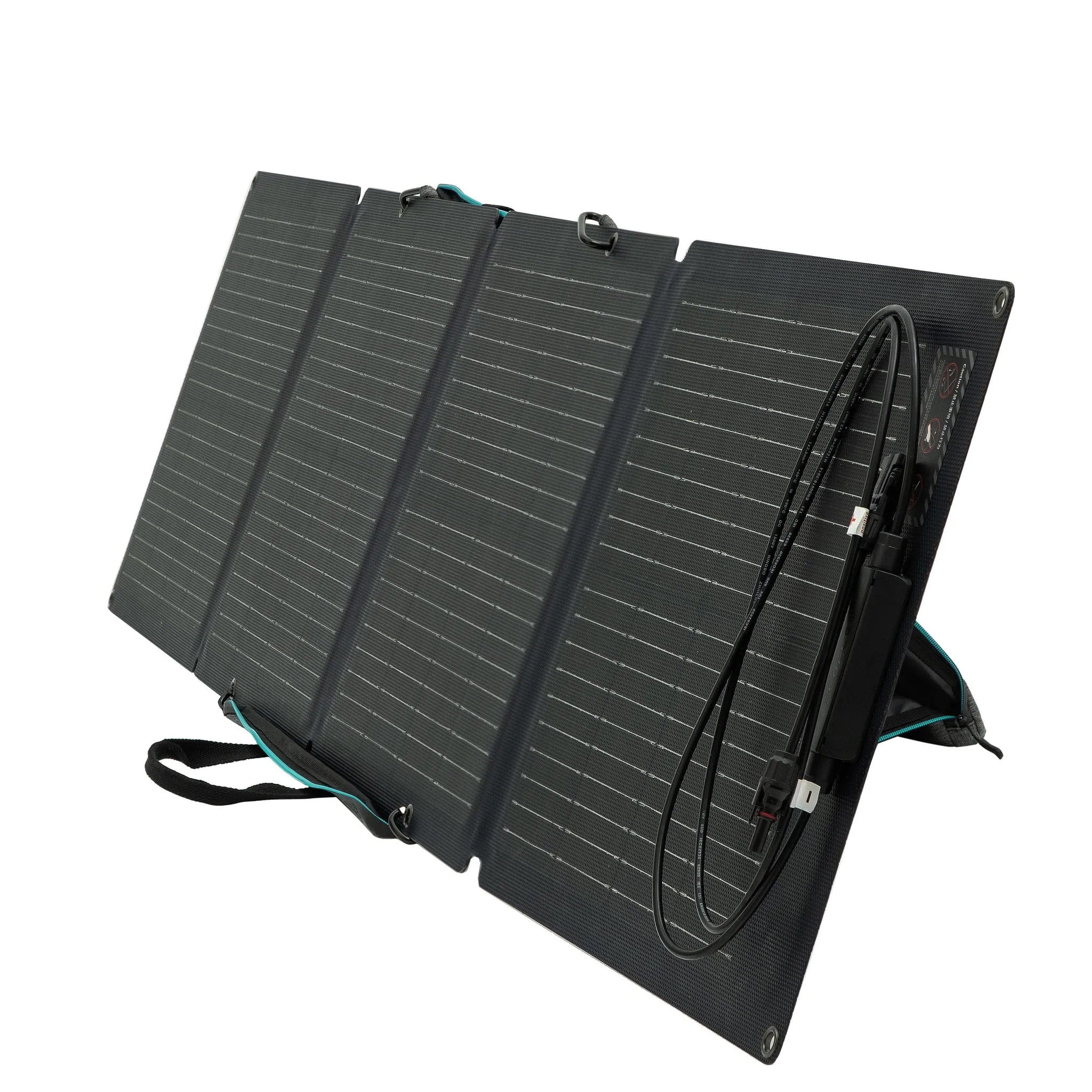 EcoFlow Portable Solar Panel | 110 Watts