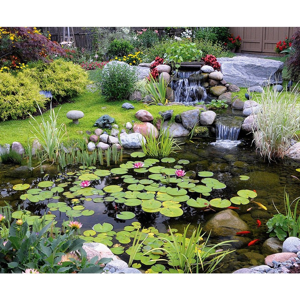 Blue Thumb Elite Pond Kits - Blue Thumb - American Pond Supplies -Blue Thumb Elite Pond Kits