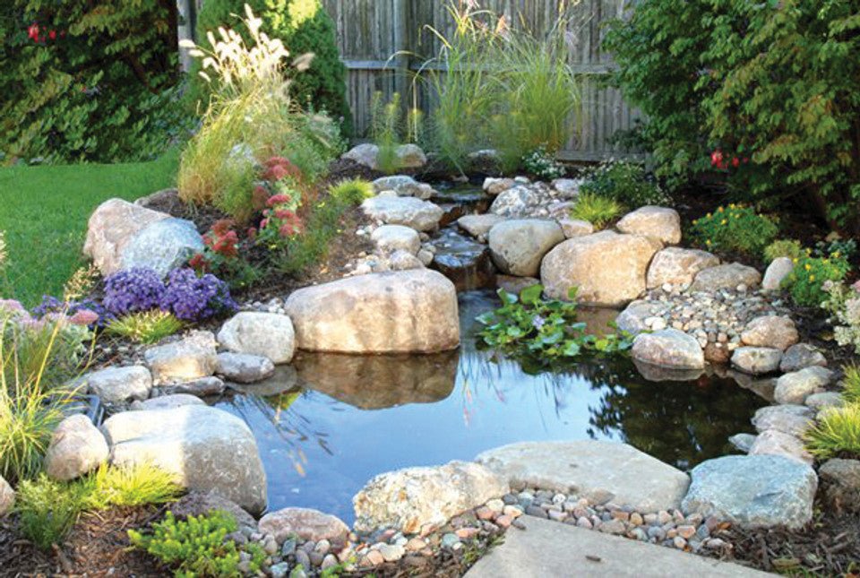 Blue Thumb Large 11' x 16' DIY Pond Kit - Blue Thumb - American Pond Supplies -Blue Thumb Large 11' x 16' DIY Pond Kit