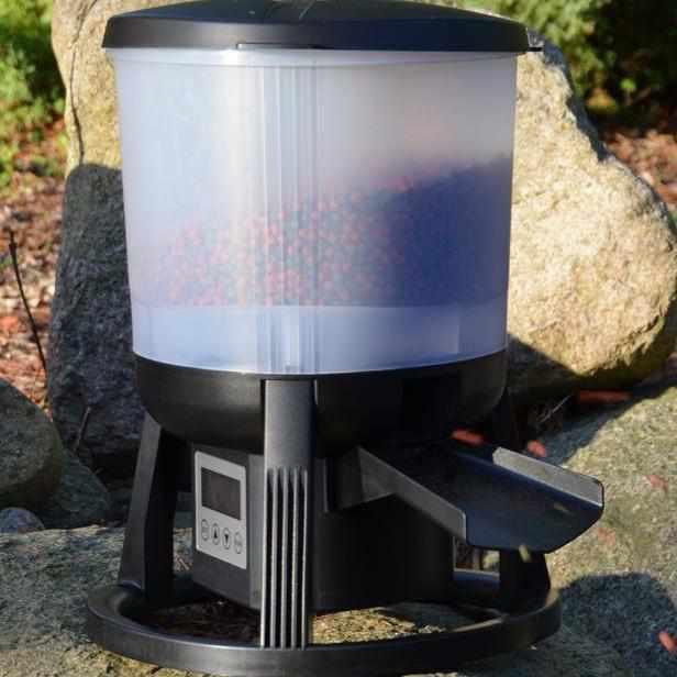 Evolution Aqua EvoFeed Automatic Fish Feeder - Evolution Aqua - American Pond Supplies -