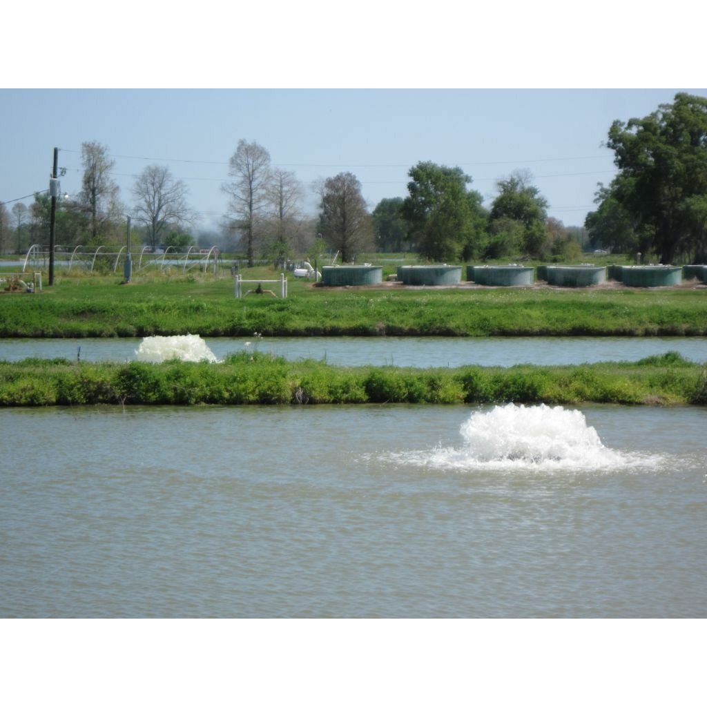 Kasco Marine: 2 Acre Pond Aerator 2 HP - Kasco Marine - American Pond Supplies -Kasco Marine: 2 Acre Pond Aerator 2 HP