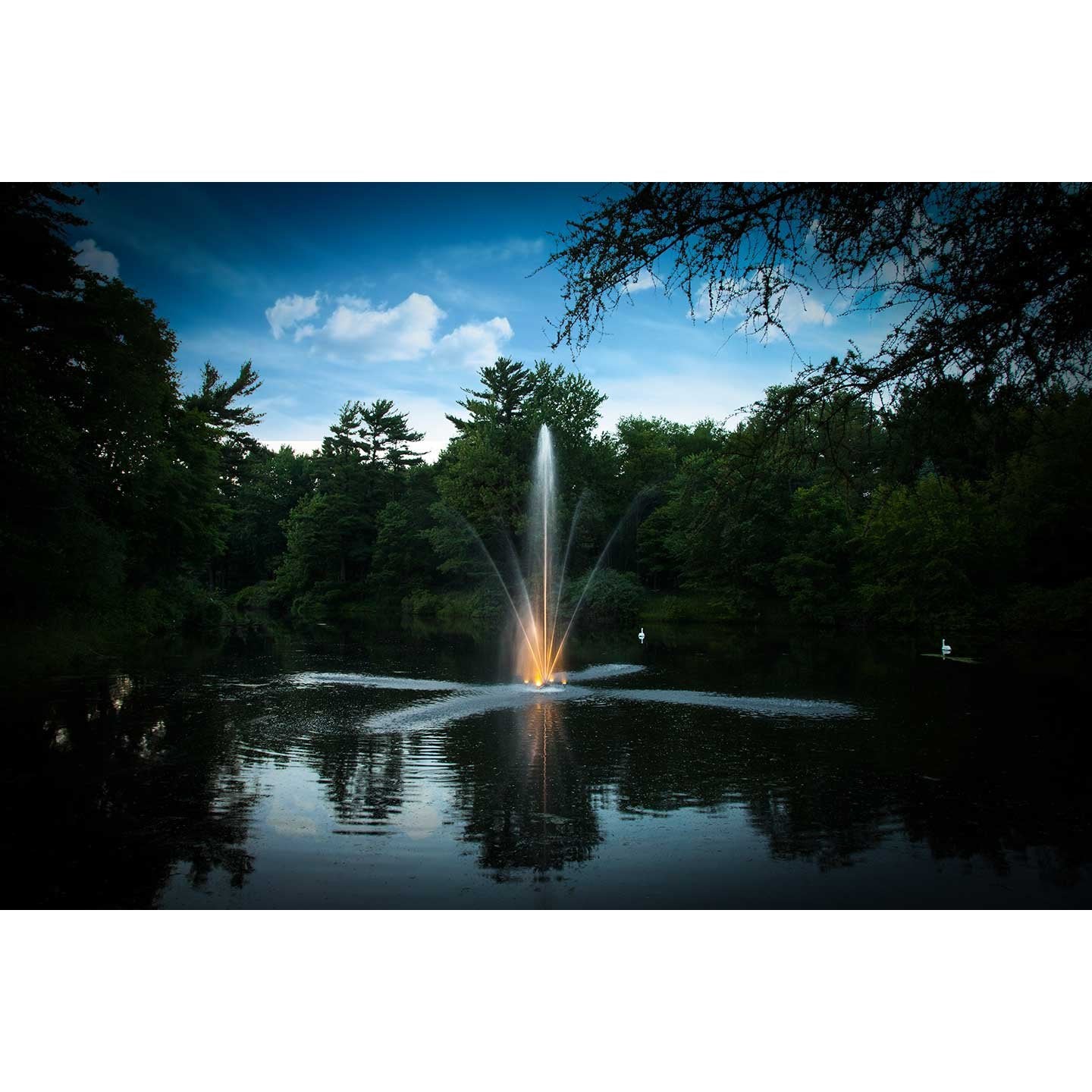 Scott Aerator: Night Glo; White LED Lights - Scott Aerator - American Pond Supplies -Scott Aerator: Night Glo; White LED Lights