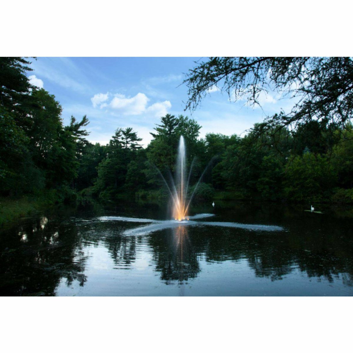 White LED Lights - Scott Aerator - American Pond Supplies -White LED Lights